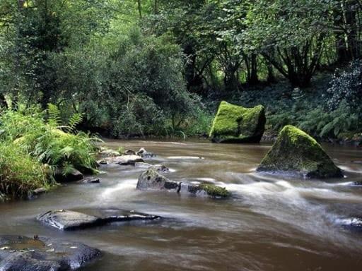 فندق Glamping Des 2 Marguerites Bazoches-au-Houlme المظهر الخارجي الصورة